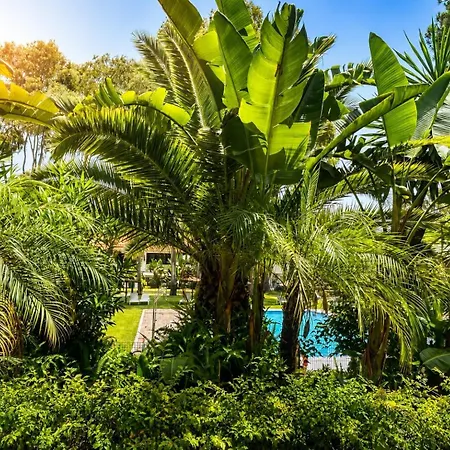 شقة Cozy Near Puerto Banus ماربيا